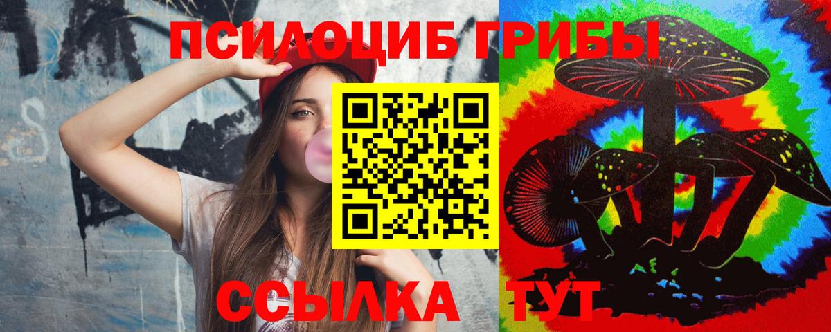 Кострома  Псилоцибиновые грибы Psilocybe  Псилоцибиновые грибы Psilocybine cubensis  Вход с VPN 