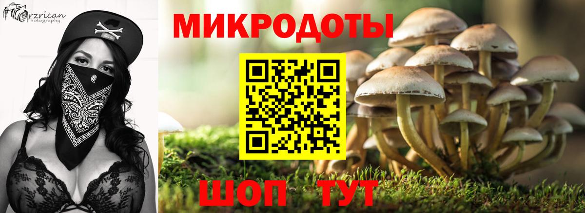 Галлюциногенные грибы ЛСД Кострома