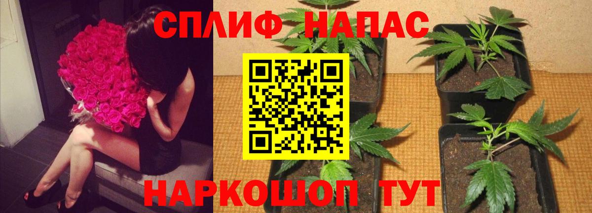 Марихуана MAZAR  Вход с VPN  Бошки марихуана Bruce Banner  Кострома  Шишки марихуана Bruce Banner 